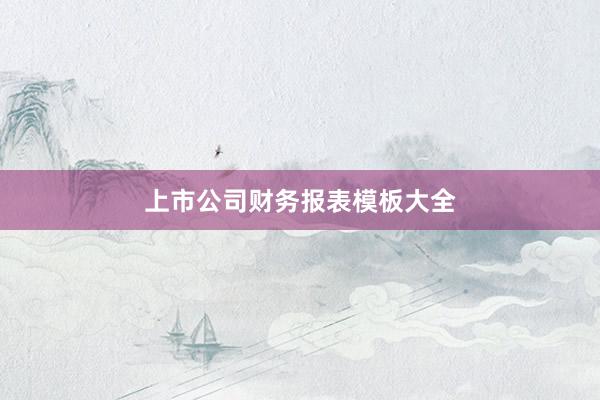 上市公司财务报表模板大全